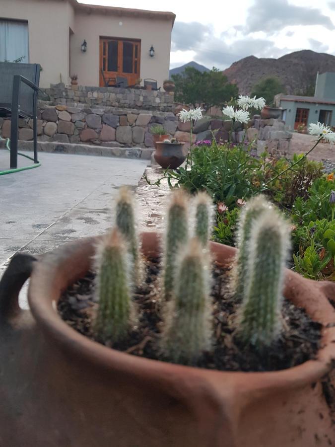 Apartmán Tierra Primitiva Tilcara Exteriér fotografie