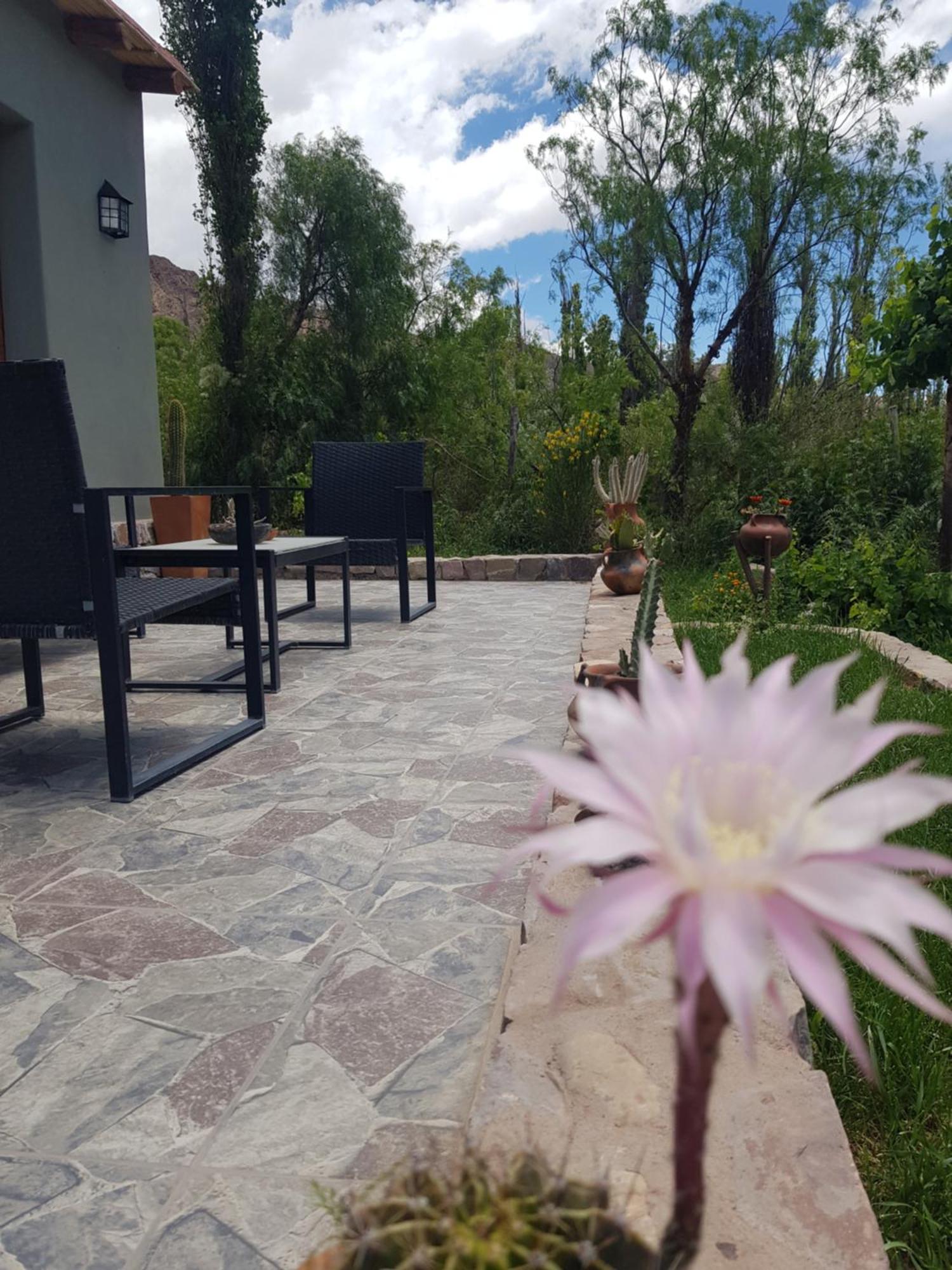 Apartmán Tierra Primitiva Tilcara Exteriér fotografie