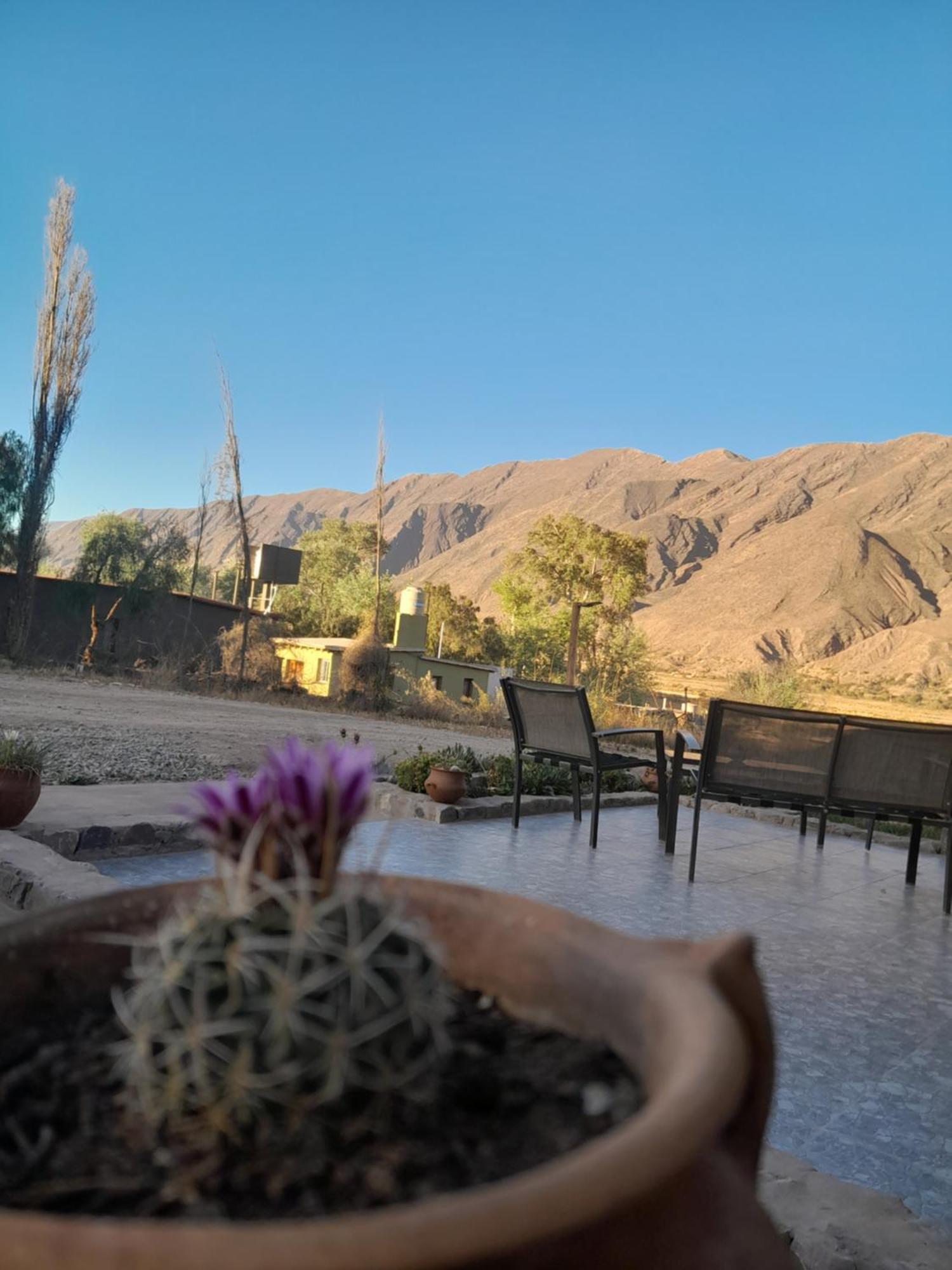 Apartmán Tierra Primitiva Tilcara Exteriér fotografie