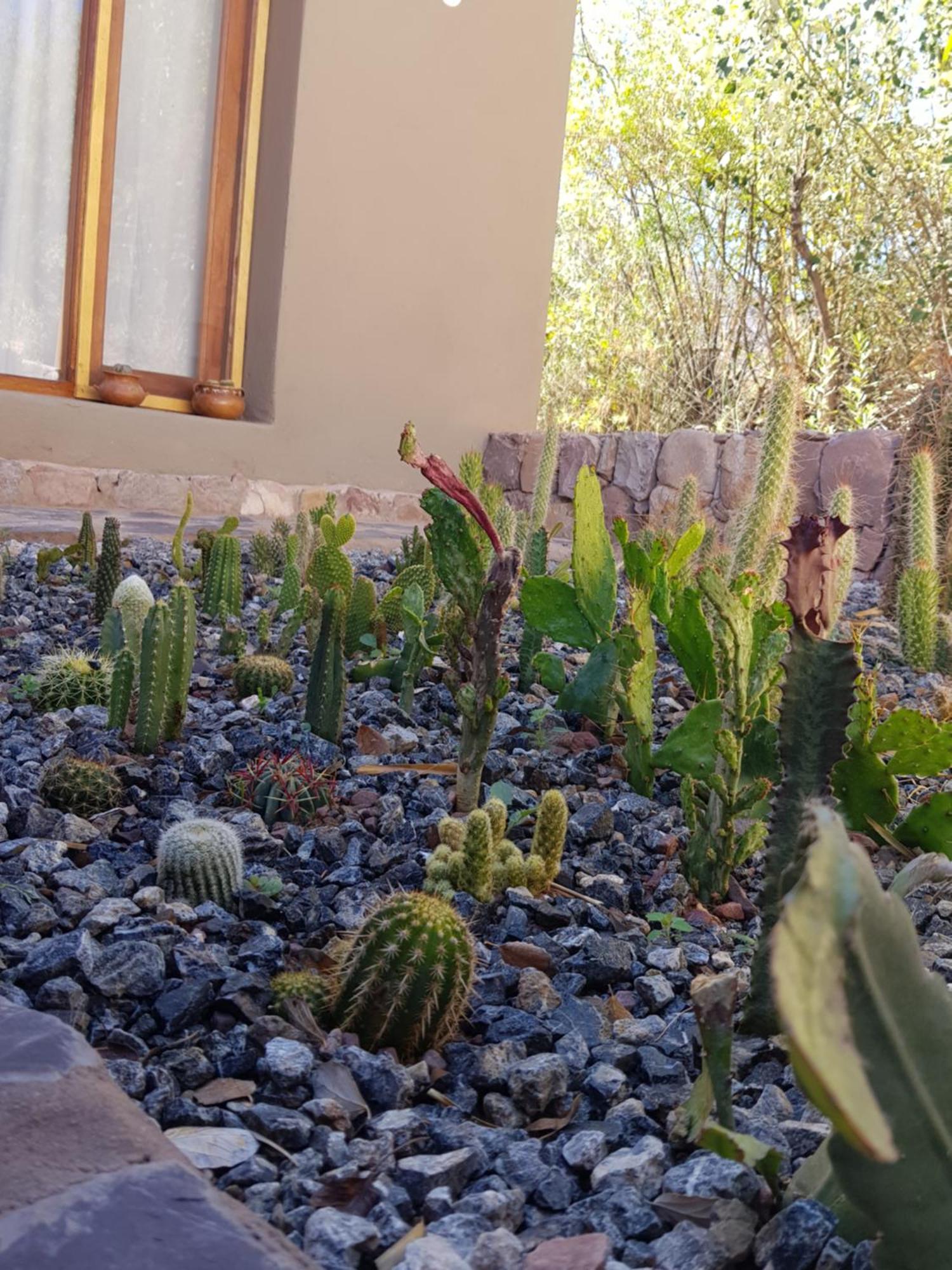 Apartmán Tierra Primitiva Tilcara Exteriér fotografie