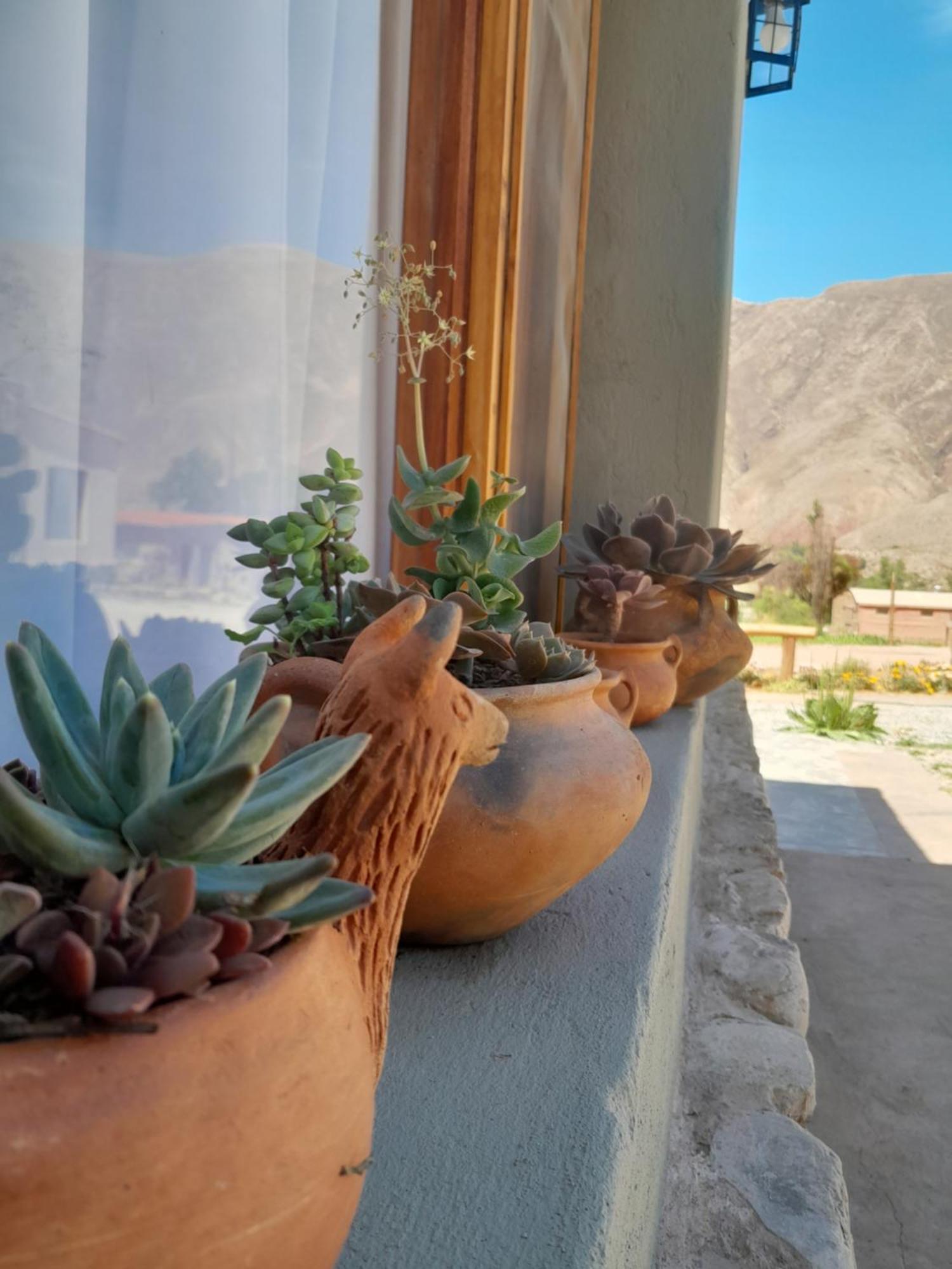 Apartmán Tierra Primitiva Tilcara Exteriér fotografie