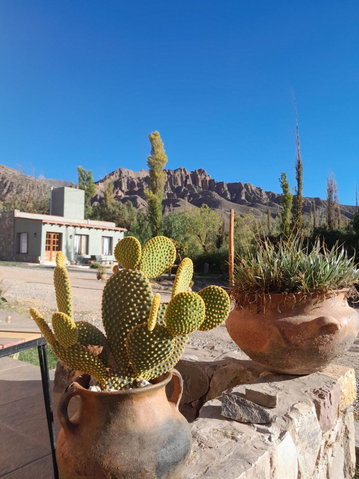 Apartmán Tierra Primitiva Tilcara Exteriér fotografie