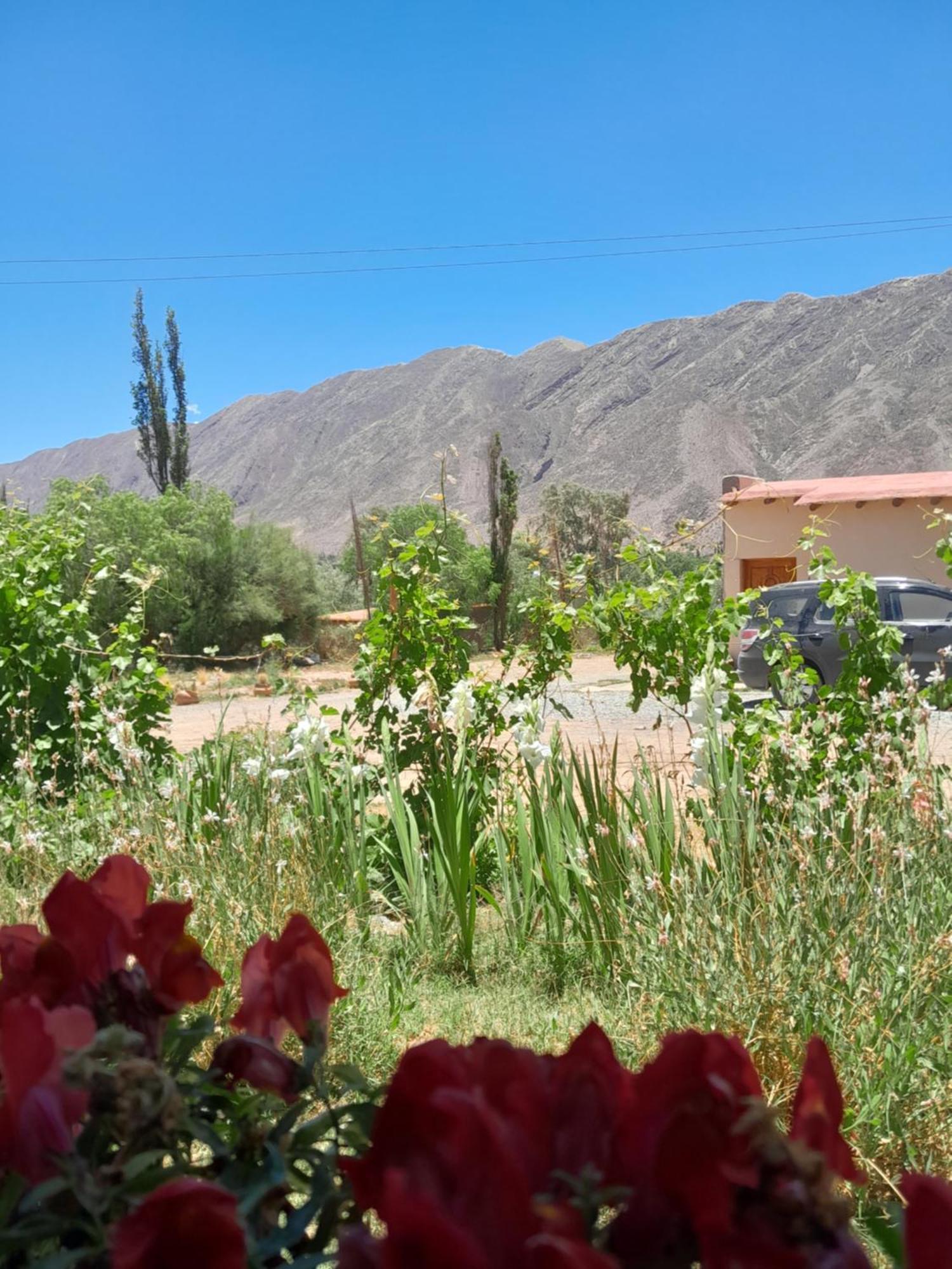 Apartmán Tierra Primitiva Tilcara Exteriér fotografie